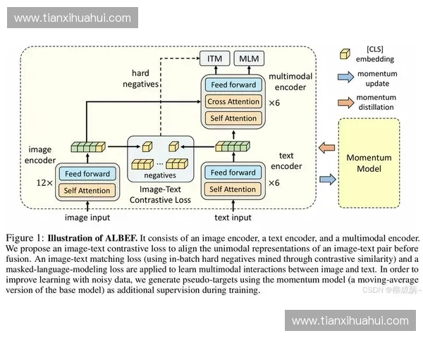 基于多模态数据的精确三维运动重建方法研究与应用探索